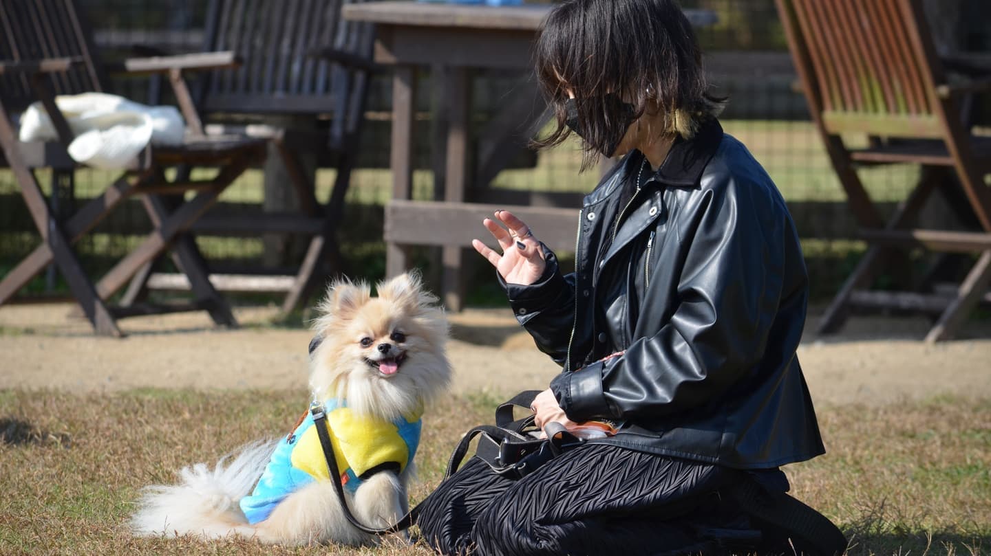 お客様からの写真