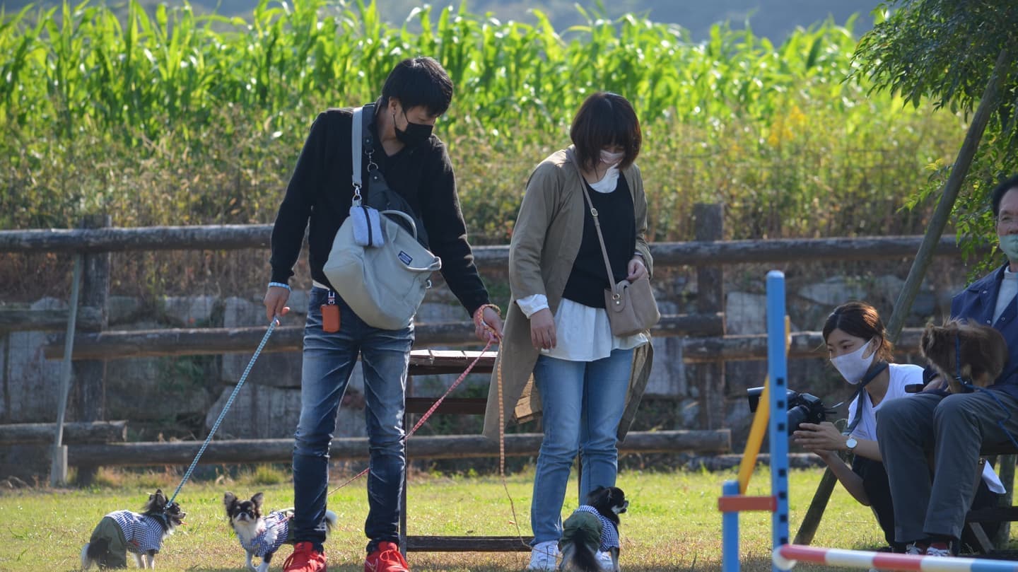 お客様からの声