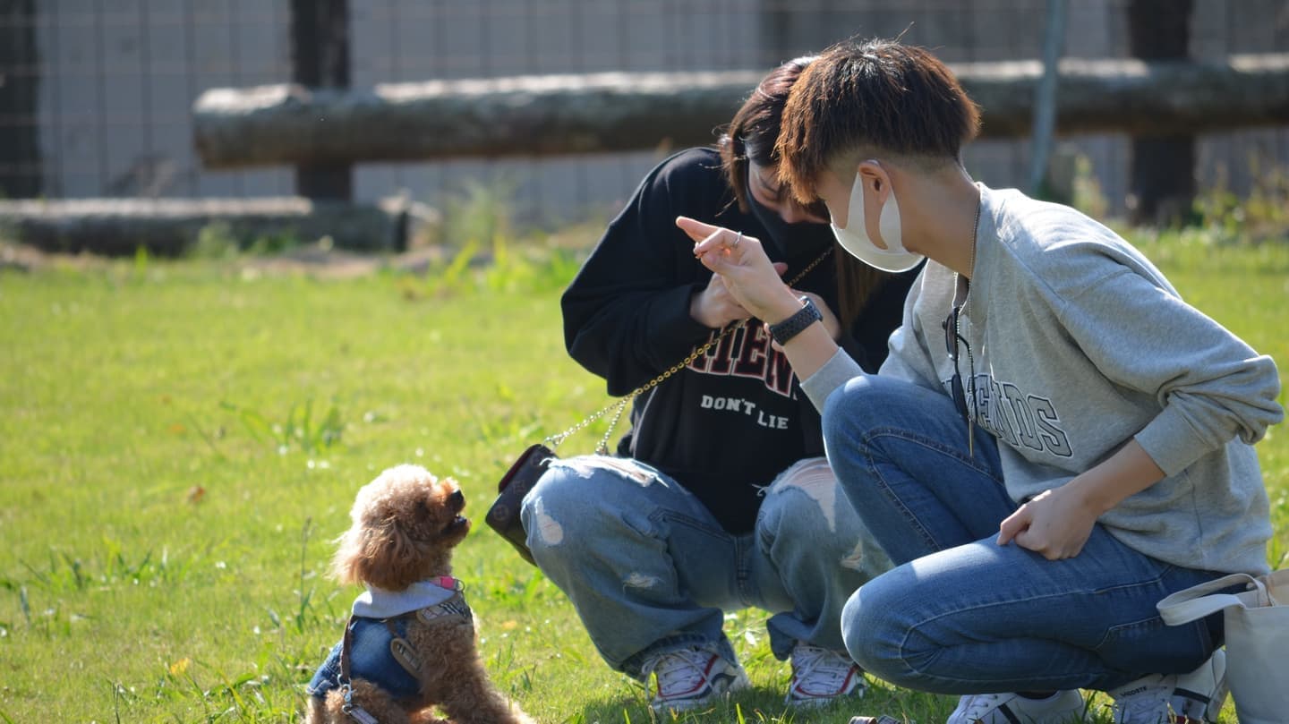 お客様からの声