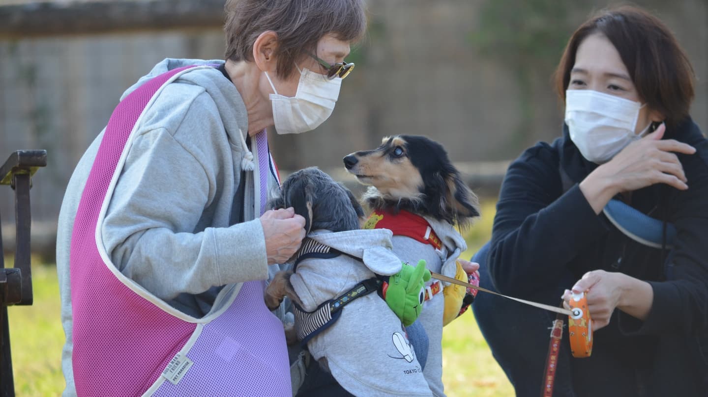 お客様からの写真