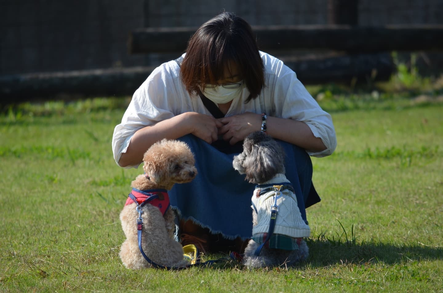 お客様からの写真