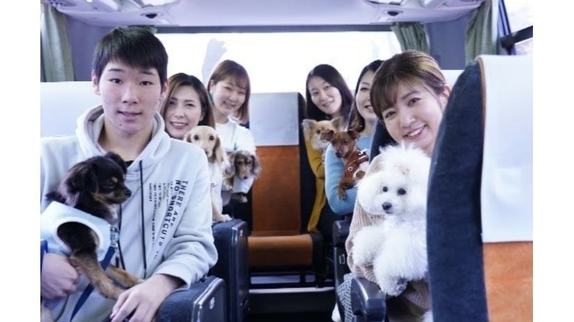 バスの中はノーケージ