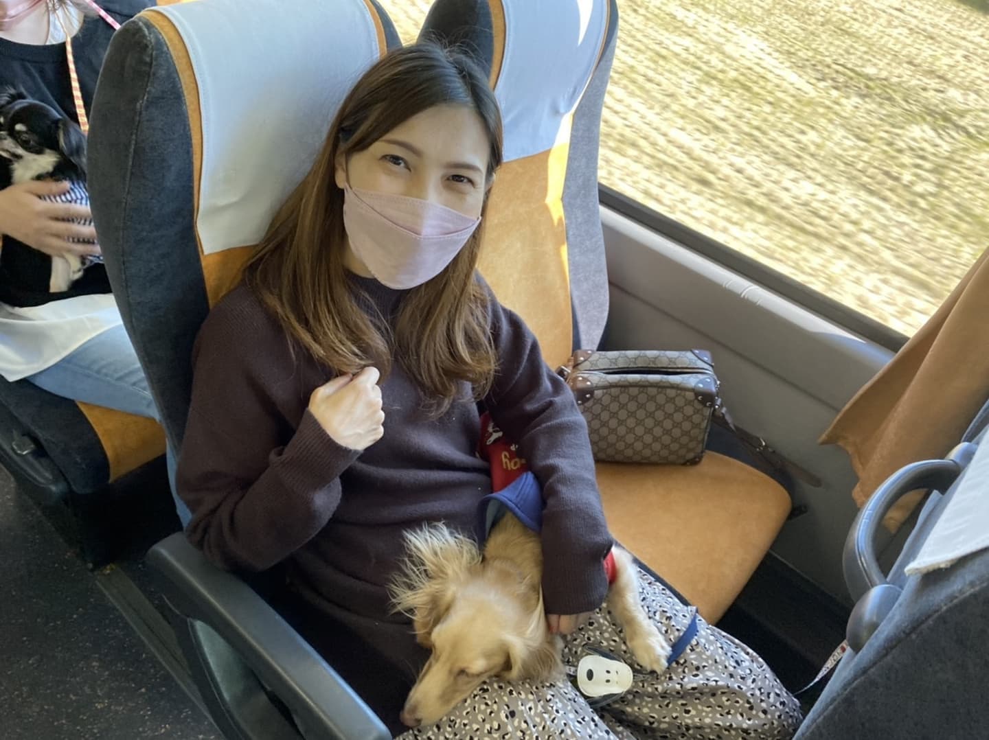 女性とわんちゃんバス車内