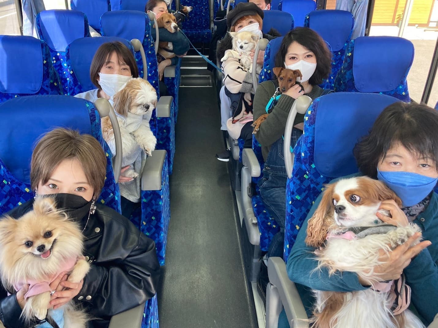 女性とわんちゃんバス車内